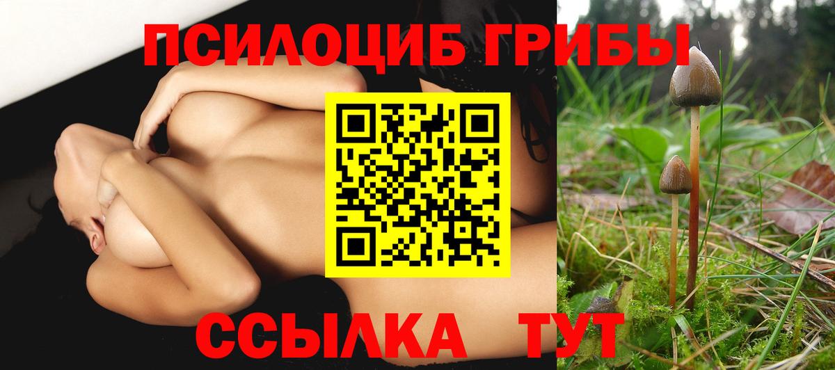 Псилоцибиновые грибы MAGIC MUSHROOMS Улан-Удэ